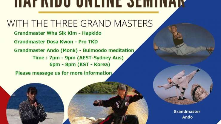 Pro TKD & Hapkido Online Seminar